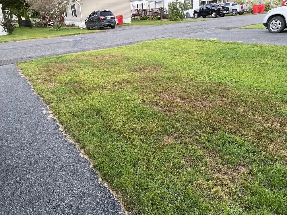 Professional landscape installation experts serving Kutztown, PA - NaturaLawn of America