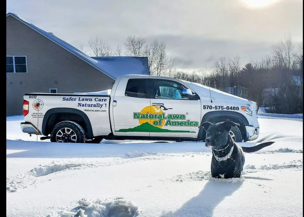 Professional landscaping services experts serving Lake Ariel, PA - NaturaLawn of America