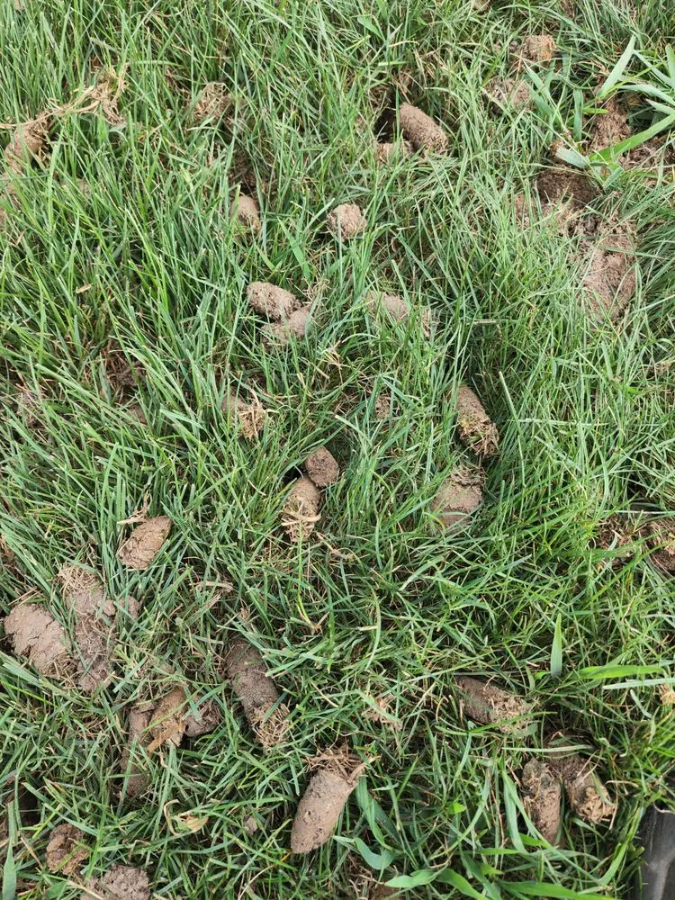 Reliable landscaping services for residential properties in Lake Ariel, PA by NaturaLawn of America