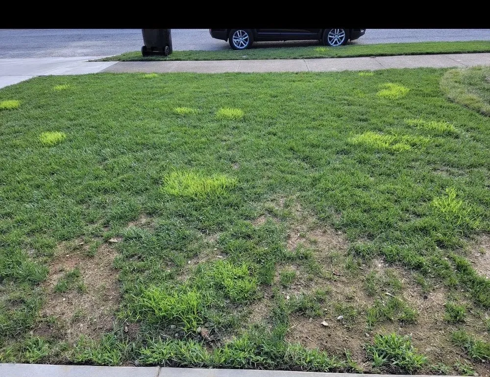 Reliable lawn care service experts serving Louisville, KY - NaturaLawn of America