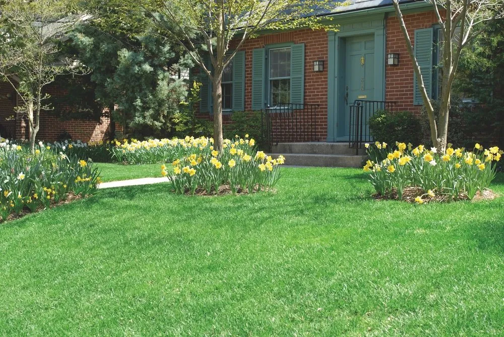 Professional outdoor landscaping in Menomonee Falls, WI by NaturaLawn of America