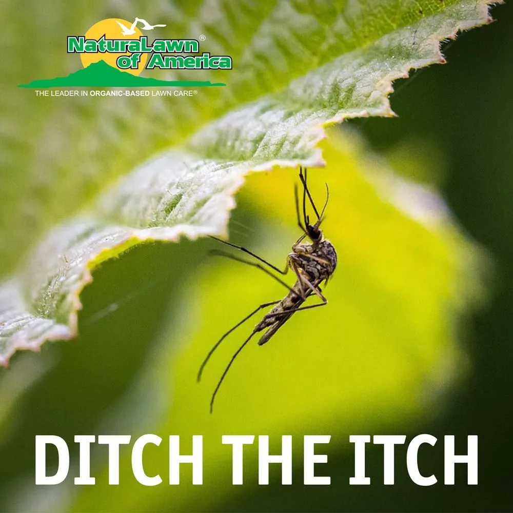 Custom yard cleanup service for homes in Montgomeryville, PA by NaturaLawn of America