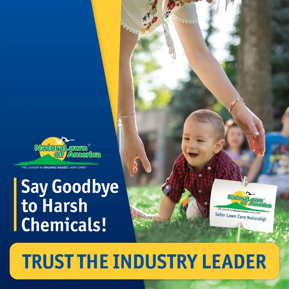 Expert yard maintenance for beautiful yards in Montgomeryville, PA by NaturaLawn of America