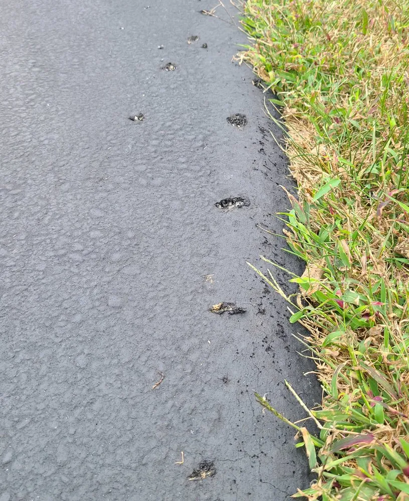 Expert landscape design experts serving Montgomeryville, PA - NaturaLawn of America