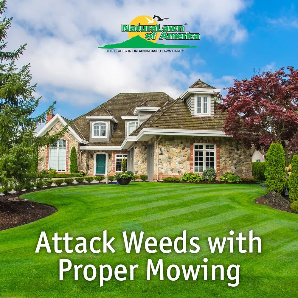 Top-rated yard maintenance in Montgomeryville, PA - NaturaLawn of America
