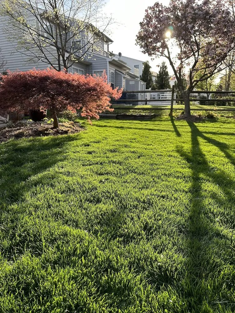 Local landscape installation in Morrisville, NC - NaturaLawn of America