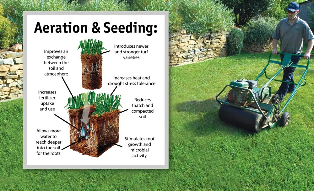 Affordable landscape design near you across Myersville, MD - NaturaLawn Of America