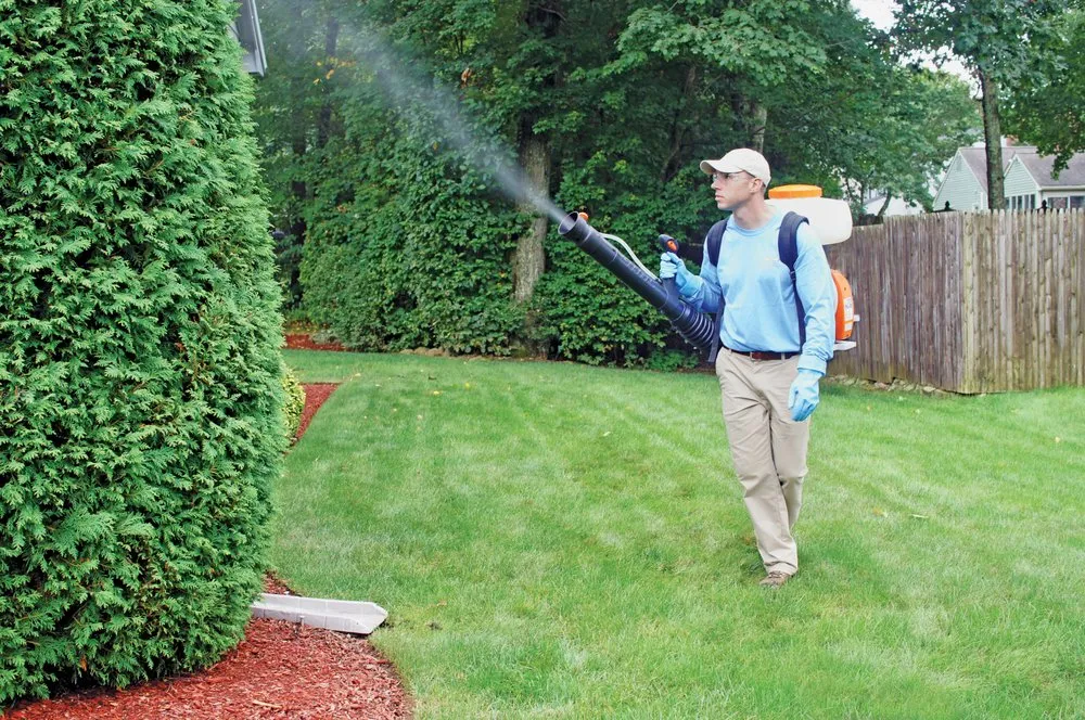 Custom landscaping services for outdoor upgrades in Myersville, MD by NaturaLawn Of America