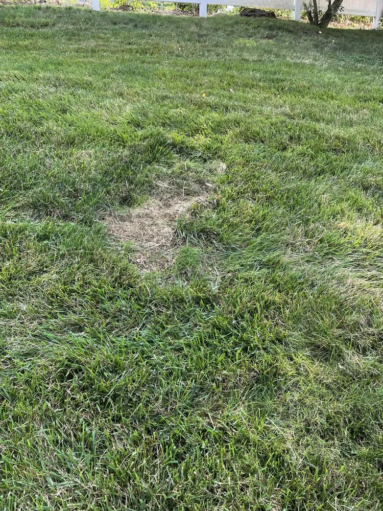 Affordable outdoor landscaping in Newtown, CT - NaturaLawn of America