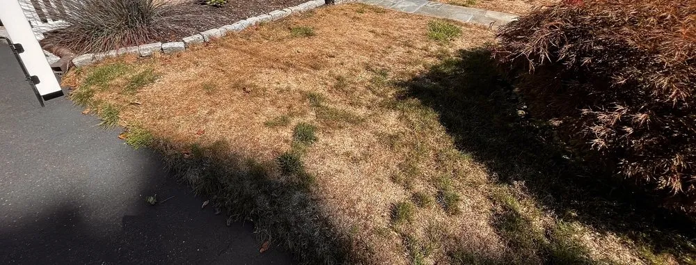 Reliable yard maintenance for beautiful yards across Newtown, CT - NaturaLawn of America