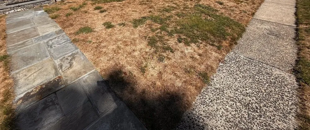 Custom landscaping services for homes in Newtown, CT by NaturaLawn of America