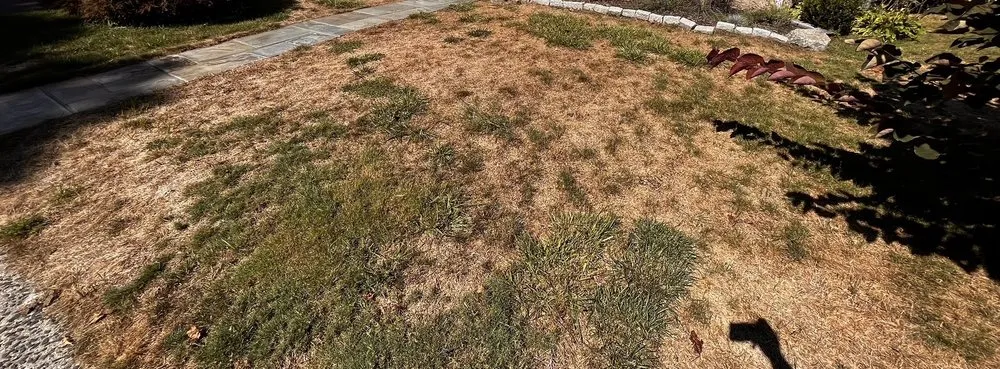 Professional residential landscaping in Newtown, CT by NaturaLawn of America