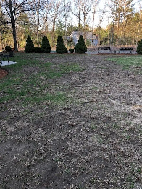 Trusted yard maintenance in North Attleborough, MA - NaturaLawn of America