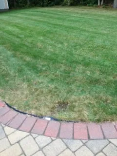 Trusted residential landscaping in North Attleborough, MA - NaturaLawn of America