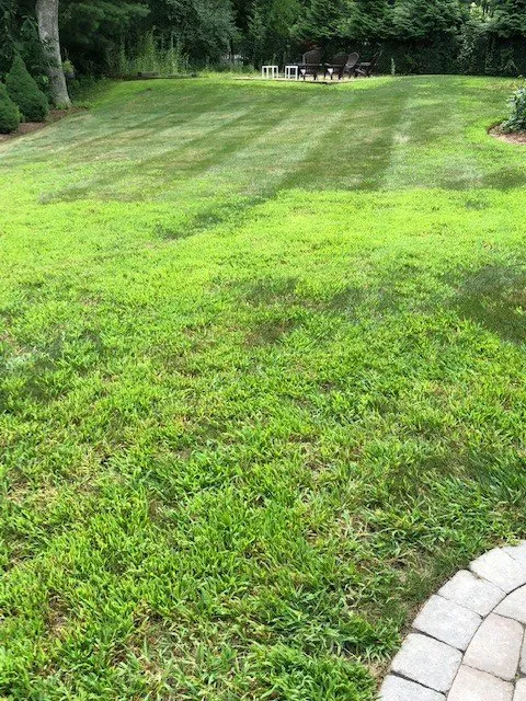 Expert landscape installation in North Attleborough, MA - NaturaLawn of America