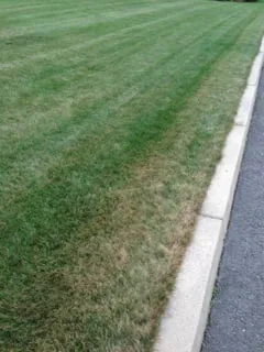 Professional yard cleanup service in North Attleborough, MA - NaturaLawn of America