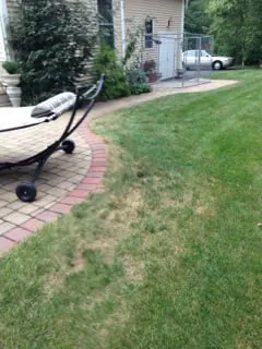 Professional garden landscaping in North Attleborough, MA by NaturaLawn of America