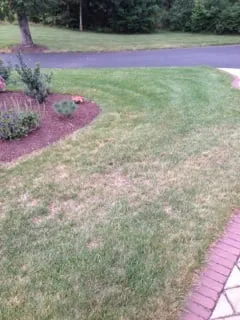 Custom outdoor landscaping in North Attleborough, MA - NaturaLawn of America