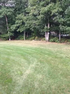 Expert lawn mowing service in North Attleborough, MA - NaturaLawn of America