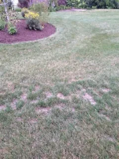 Local garden landscaping in North Attleborough, MA by NaturaLawn of America