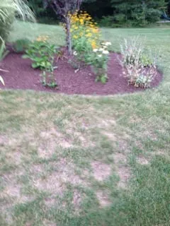 Local landscape installation for beautiful yards across North Attleborough, MA - NaturaLawn of America