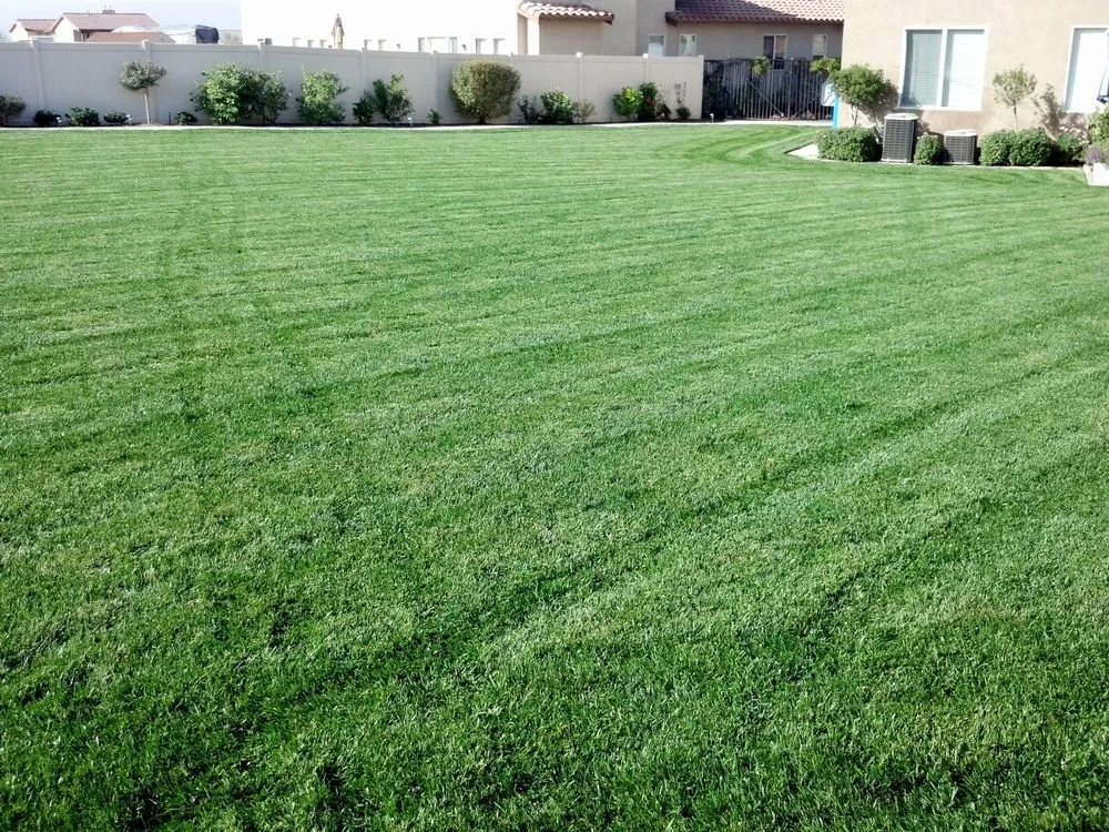 Reliable lawn care service for outdoor upgrades in Rancho Cucamonga, CA by NaturaLawn of America