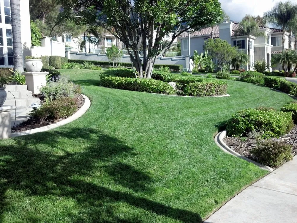 Custom landscape design in Rancho Cucamonga, CA by NaturaLawn of America