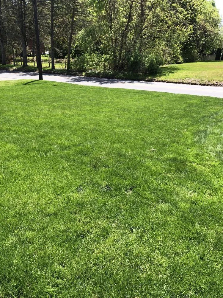 Custom lawn care service in Rocky Hill, CT by NaturaLawn of America