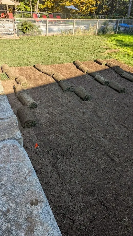 Trusted landscaping services in Rocky Hill, CT by NaturaLawn of America