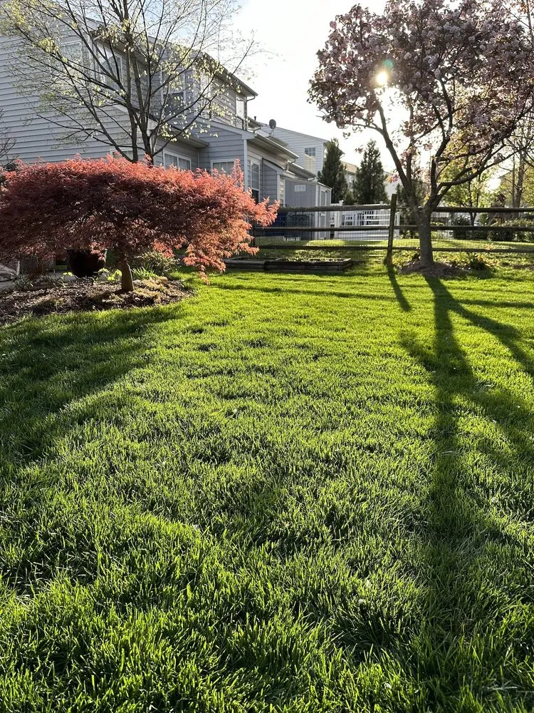 Local outdoor landscaping experts serving Stow, OH - NaturaLawn of America