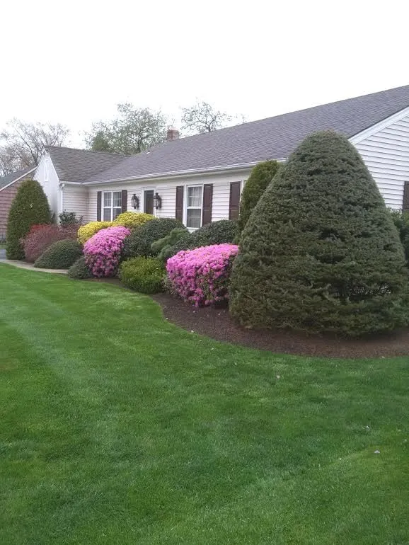 Expert landscaping services in Wall Township, NJ - NaturaLawn of America