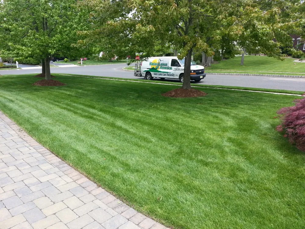 Local landscaping services with custom design across Wall Township, NJ - NaturaLawn of America