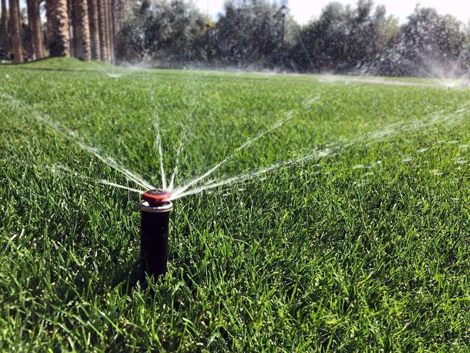 Local landscape installation in Wappingers Falls, NY by NaturaLawn of America