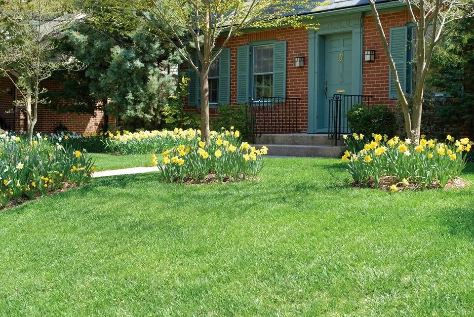 Expert lawn care service for year-round maintenance in Wappingers Falls, NY by NaturaLawn of America