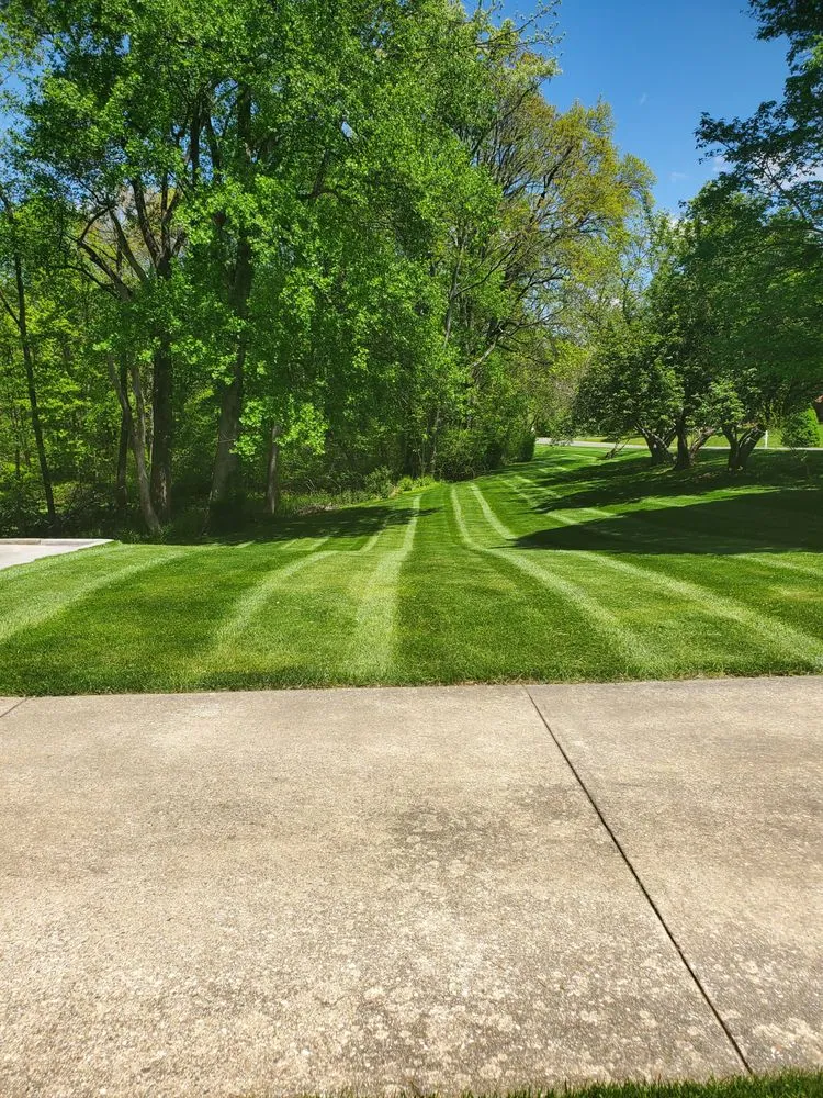 Trusted yard maintenance for residential properties in Westminster, MD by NaturaLawn of America