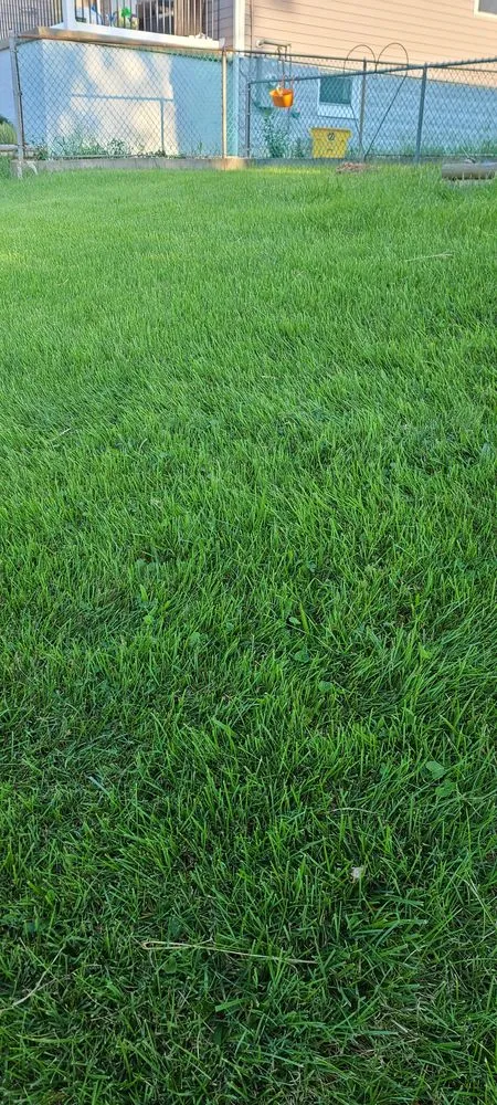 Top-rated landscaping services experts serving Westminster, MD - NaturaLawn of America