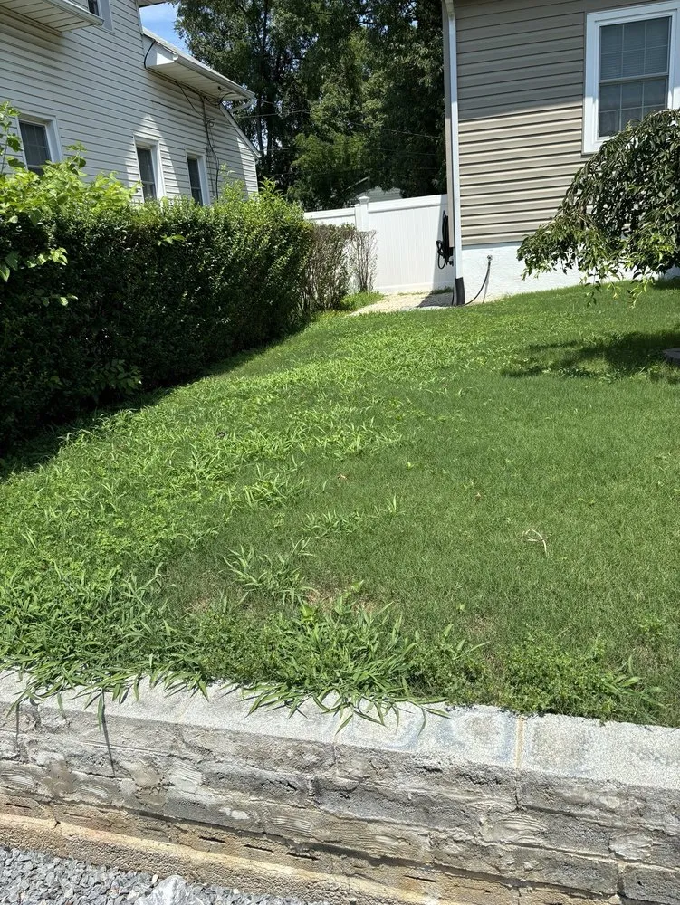 Professional yard maintenance for beautiful yards in Westminster, MD by NaturaLawn of America