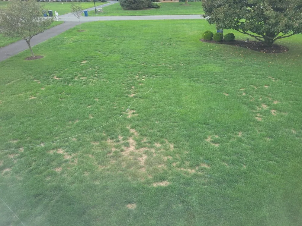 Local residential landscaping experts serving Wilmington, DE - NaturaLawn of America