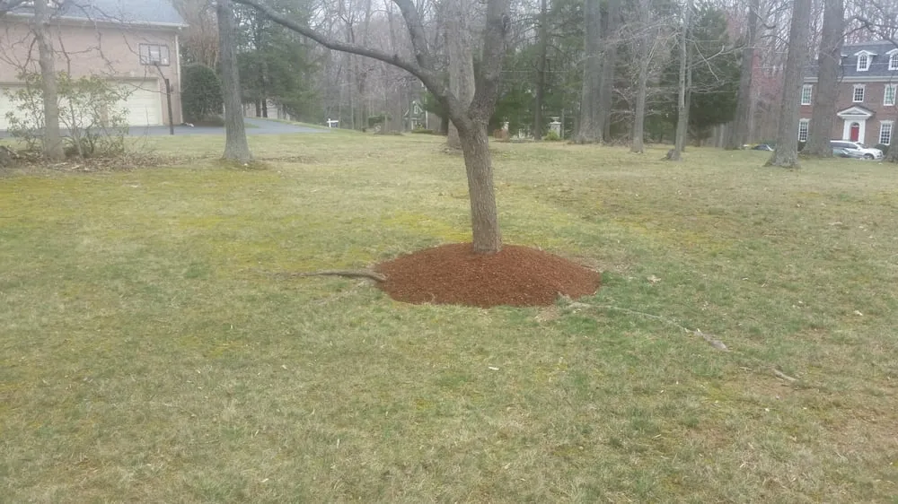 Affordable residential landscaping near you across Great Falls, VA - Naturalia Landscaping, LLC