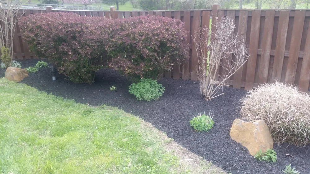 Expert lawn care service near you in Great Falls, VA by Naturalia Landscaping, LLC