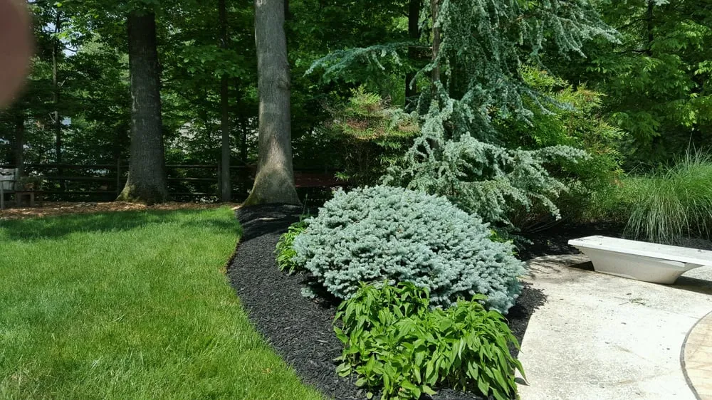 Trusted lawn mowing service in Great Falls, VA by Naturalia Landscaping, LLC