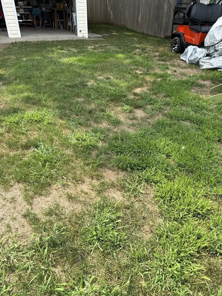 Local yard cleanup service in North Haven, CT by Naturally Green Lawn Care