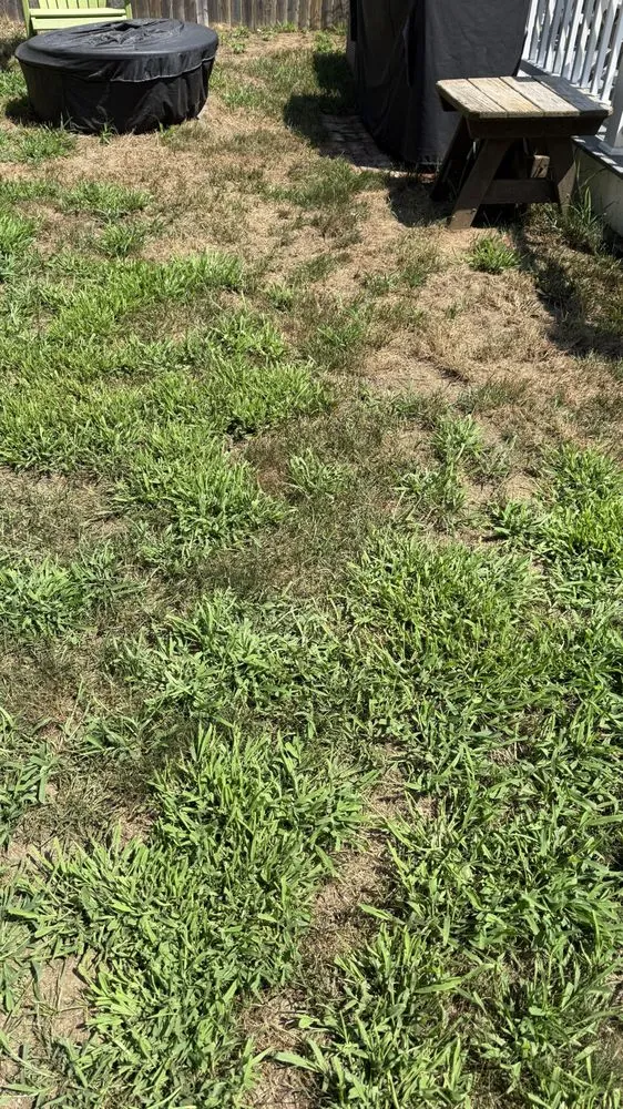 Local lawn care service near you across North Haven, CT - Naturally Green Lawn Care