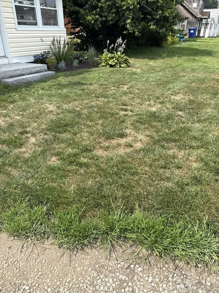 Reliable lawn care service with custom design in North Haven, CT by Naturally Green Lawn Care