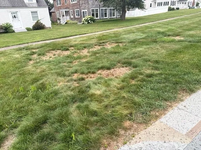 Trusted landscaping services experts serving North Haven, CT - Naturally Green Lawn Care