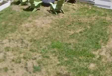 Local residential landscaping in North Haven, CT - Naturally Green Lawn Care