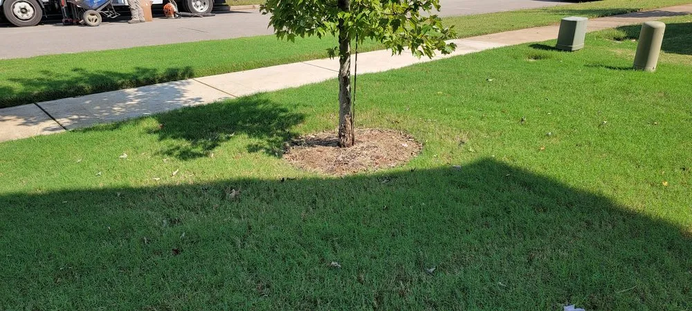 Reliable outdoor landscaping with custom design across Huntsville, AL - Naturally Green Lawn Service