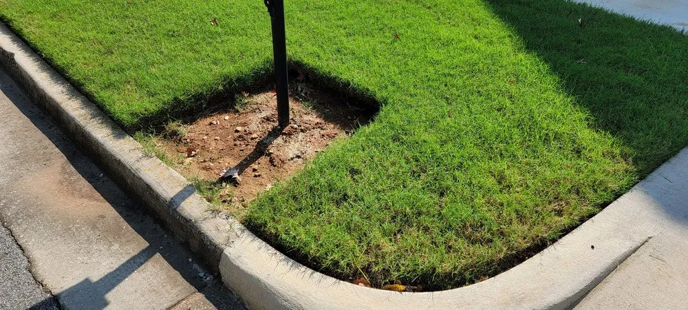 Local landscape design experts serving Huntsville, AL - Naturally Green Lawn Service
