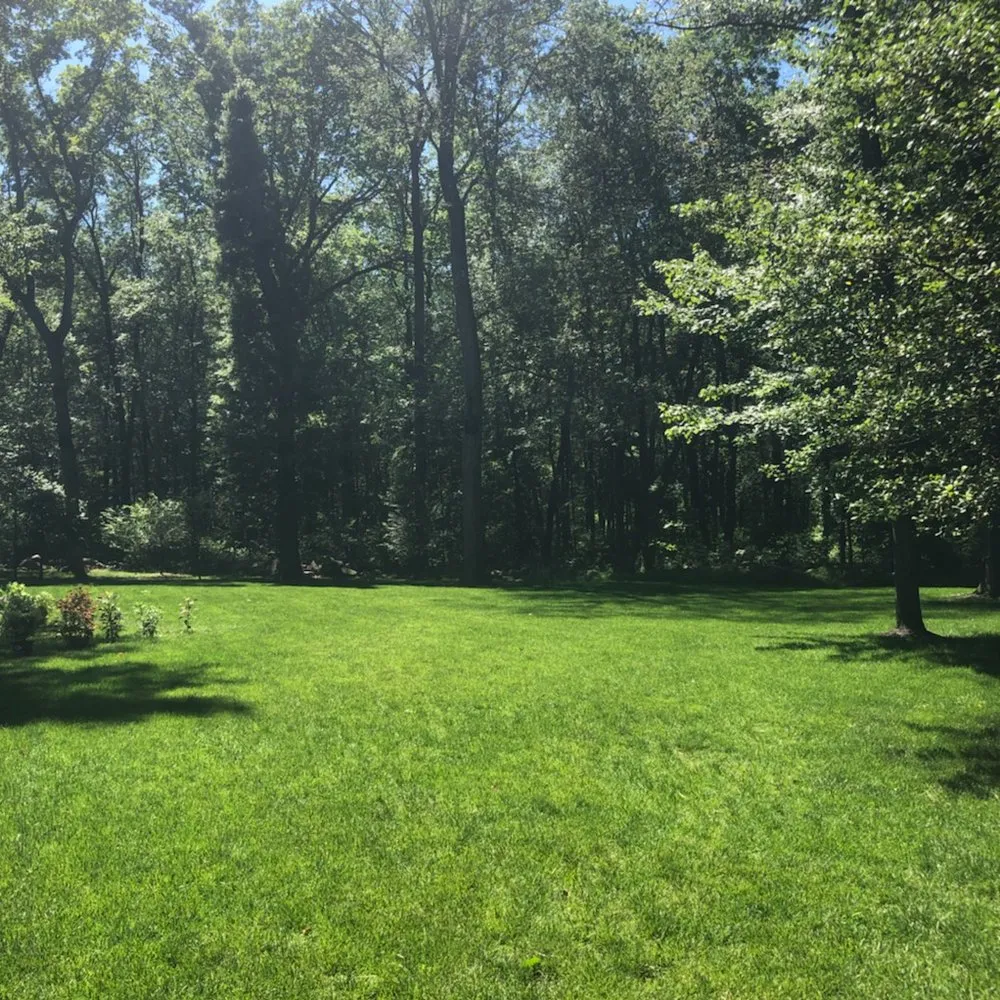 Local garden landscaping in Newton, NJ by Naturally Greener Lawns