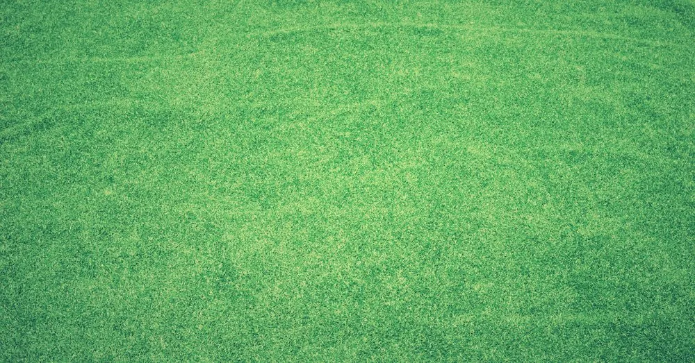 Affordable landscape installation in Newton, NJ - Naturally Greener Lawns